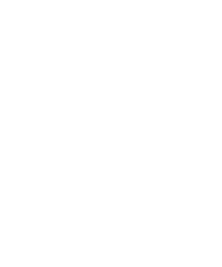 White Knight Fire shield icon